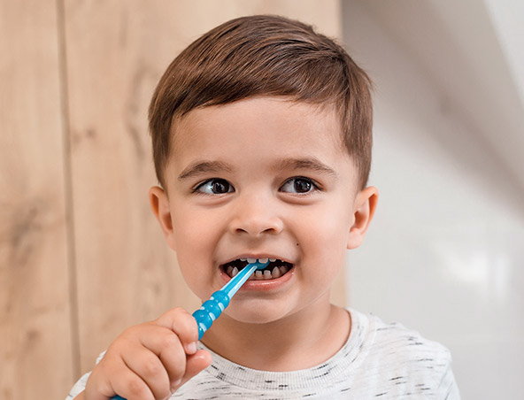 Portrait d'un petit garçon se brossant les dents représentant la tranche d'âge 0-6 ans